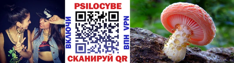 Псилоцибиновые грибы GOLDEN TEACHER даркнет сайт Радужный